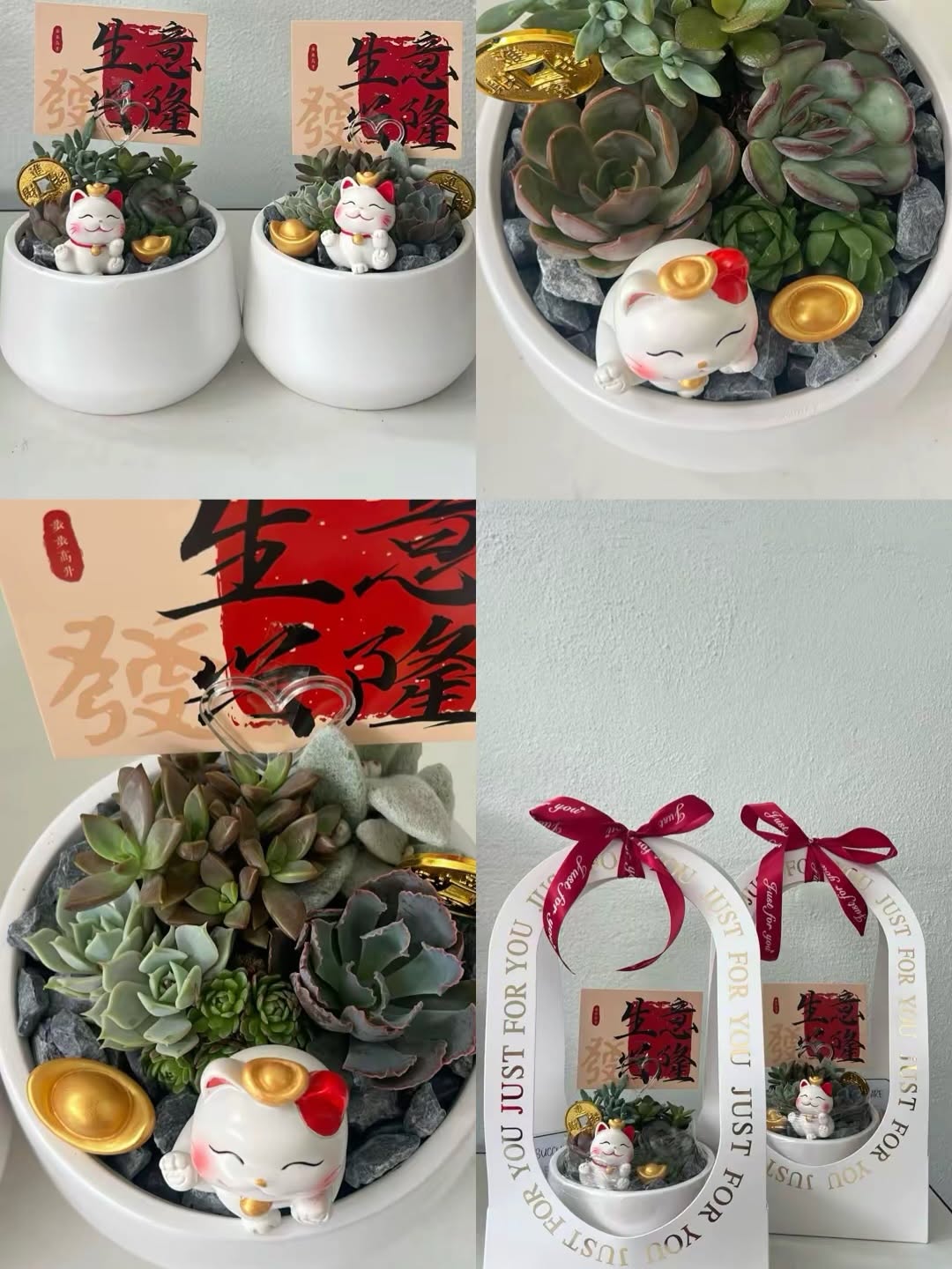 Close-ups of a succulent planter mix with four to five species and pebble topping