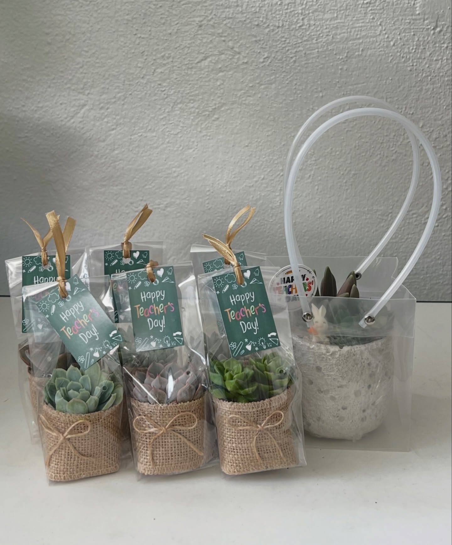 Mini succulents in burlap-wrapped pots with hand-tied twine and tags
